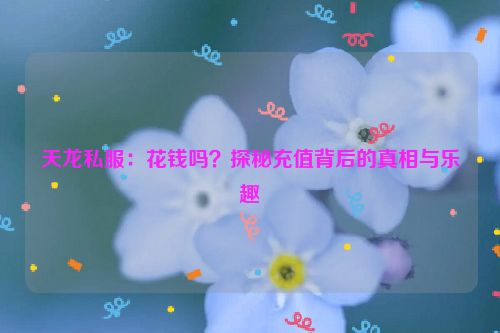 天龙私服：花钱吗？探秘充值背后的真相与乐趣