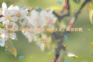 天龙sf资质鉴定攻略(神略天龙，助你称霸江湖)