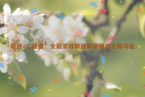 奇迹sf公益服：全新圣导敏捷来袭畅享无限可能！