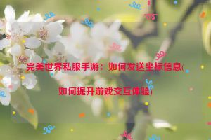 完美世界私服手游：如何发送坐标信息(如何提升游戏交互体验)