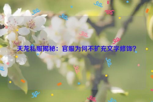 天龙私服揭秘：官服为何不扩充文字修饰？