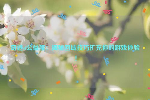 奇迹sf公益服：揭秘回城技巧扩充你的游戏体验！