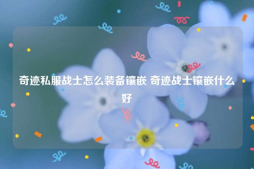 奇迹私服战士怎么装备镶嵌 奇迹战士镶嵌什么好