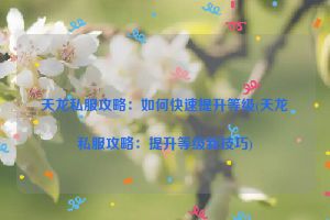 天龙私服攻略：如何快速提升等级(天龙私服攻略：提升等级新技巧)