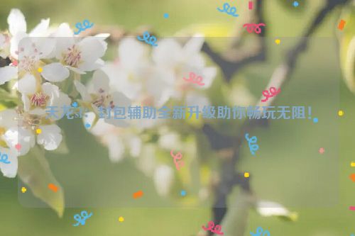 天龙sf：封包辅助全新升级助你畅玩无阻！