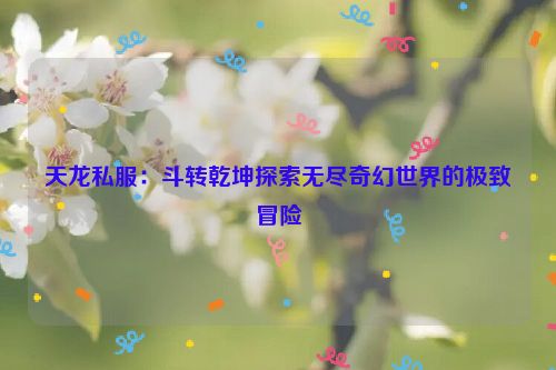 天龙私服：斗转乾坤探索无尽奇幻世界的极致冒险