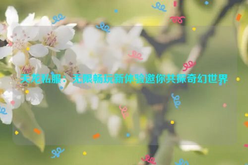 天龙私服：无限畅玩新体验邀你共探奇幻世界