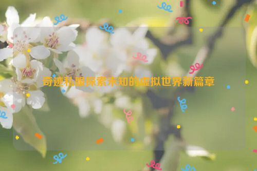 奇迹私服探索未知的虚拟世界新篇章