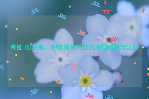 奇迹sf公益服：探索神秘外挂的无限可能与乐趣