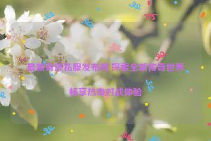 最新奇迹私服发布网,探索全新传奇世界畅享热血对战体验