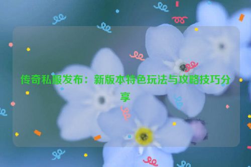 传奇私服发布：新版本特色玩法与攻略技巧分享