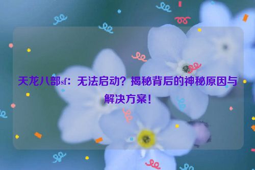 天龙八部sf：无法启动？揭秘背后的神秘原因与解决方案！