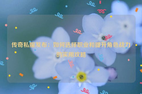 传奇私服发布：如何选择职业和提升角色战力的实用攻略