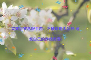 完美世界私服手游：水晶攻略大公开(成就自己的游戏传奇)