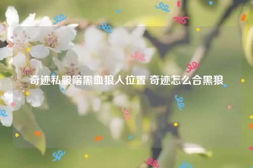 奇迹私服暗黑血狼人位置 奇迹怎么合黑狼