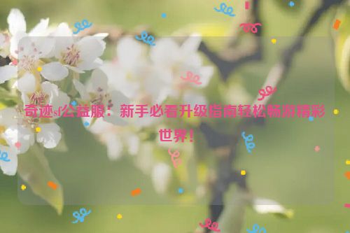 奇迹sf公益服：新手必看升级指南轻松畅游精彩世界！