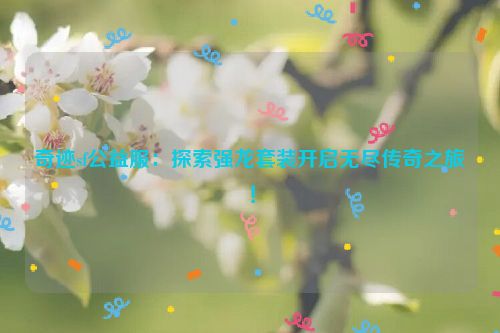 奇迹sf公益服：探索强龙套装开启无尽传奇之旅！