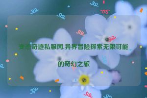 变态奇迹私服网,异界冒险探索无限可能的奇幻之旅