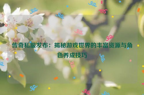 传奇私服发布：揭秘游戏世界的丰富资源与角色养成技巧