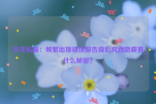 天龙私服：频繁出现错误报告背后究竟隐藏着什么秘密？