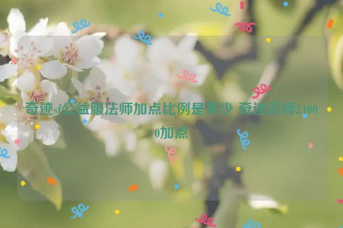 奇迹sf公益服法师加点比例是多少 奇迹法师24000加点