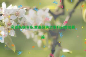 奇迹私服发布,重温经典之旅开启冒险新篇