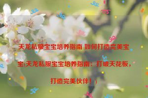 天龙私服宝宝培养指南 如何打造完美宝宝(天龙私服宝宝培养指南：打破天花板，打造完美伙伴！)