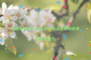 奇迹私服战士加点,战士加点攻略助你成就巅峰战力