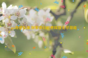 mu奇迹私服,探索奇幻世界释放无尽潜能