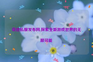 奇迹私服发布网,探索全新游戏世界的无限可能