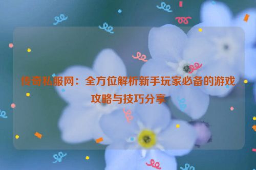 传奇私服网：全方位解析新手玩家必备的游戏攻略与技巧分享