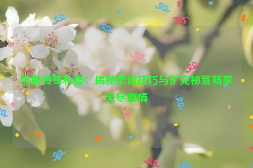 热血传奇私服：揭秘架设技巧与扩充秘笈畅享无尽激情