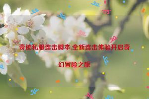 奇迹私服连击脚本,全新连击体验开启奇幻冒险之旅