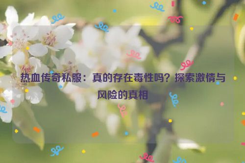 热血传奇私服：真的存在毒性吗？探索激情与风险的真相