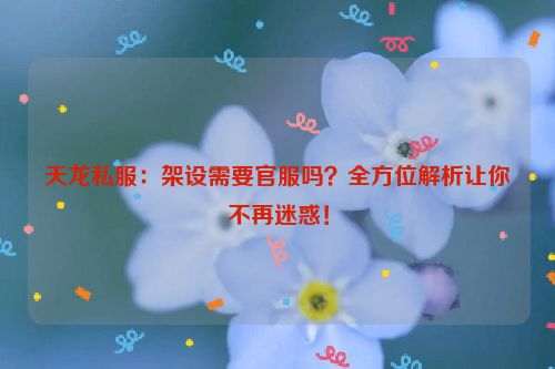 天龙私服：架设需要官服吗？全方位解析让你不再迷惑！