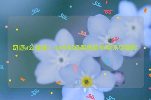 奇迹sf公益服：130小时经典冒险体验无尽精彩!