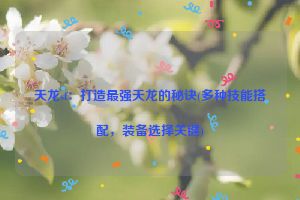 天龙sf：打造最强天龙的秘诀(多种技能搭配，装备选择关键)