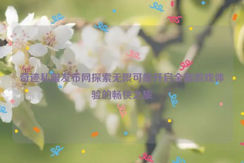 奇迹私服发布网探索无限可能开启全新游戏体验的畅快之旅