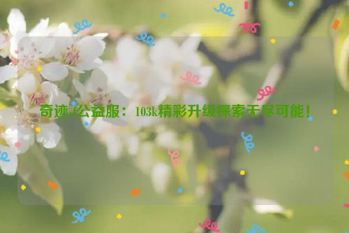 奇迹sf公益服：103k精彩升级探索无尽可能！