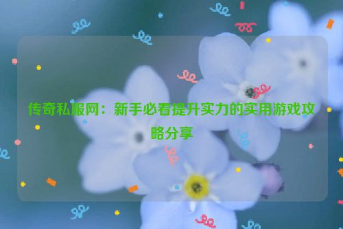 传奇私服网：新手必看提升实力的实用游戏攻略分享