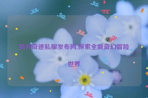 新开奇迹私服发布网,探索全新奇幻冒险世界