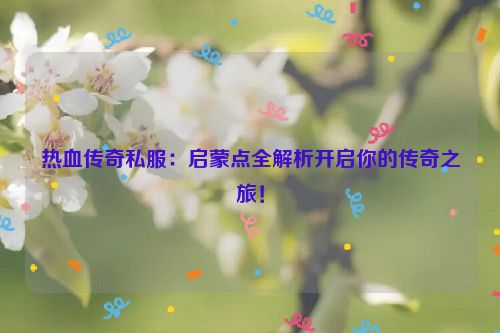 热血传奇私服：启蒙点全解析开启你的传奇之旅！