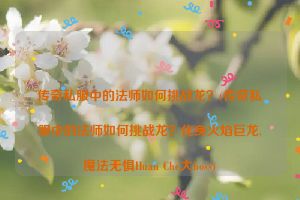 传奇私服中的法师如何挑战龙？(传奇私服中的法师如何挑战龙？化身火焰巨龙,魔法无惧Huan Che大boss)