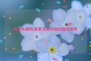 奇迹私服网,探索无限可能的虚拟世界