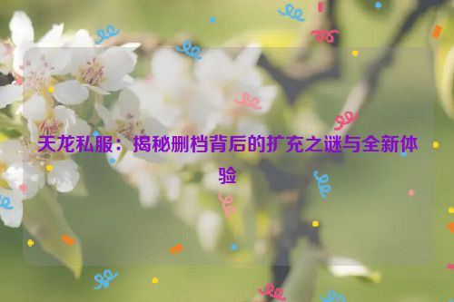 天龙私服：揭秘删档背后的扩充之谜与全新体验