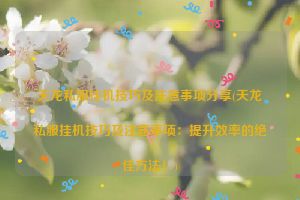 天龙私服挂机技巧及注意事项分享(天龙私服挂机技巧及注意事项：提升效率的绝佳方法！)