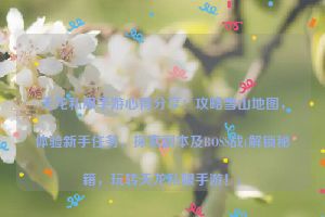 天龙私服手游心得分享：攻略雪山地图，体验新手任务，探索副本及BOSS战(解锁秘籍，玩转天龙私服手游！)