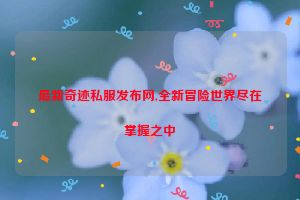 最新奇迹私服发布网,全新冒险世界尽在掌握之中