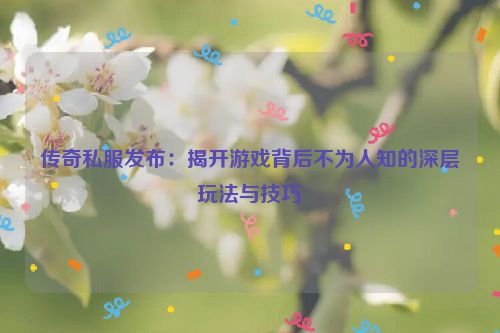 传奇私服发布：揭开游戏背后不为人知的深层玩法与技巧