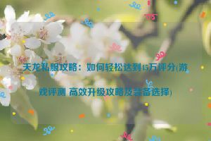 天龙私服攻略：如何轻松达到45万评分(游戏评测 高效升级攻略及装备选择)